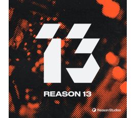 Reason 13