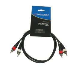 Twin RCA To Twin RCA Cable 1m